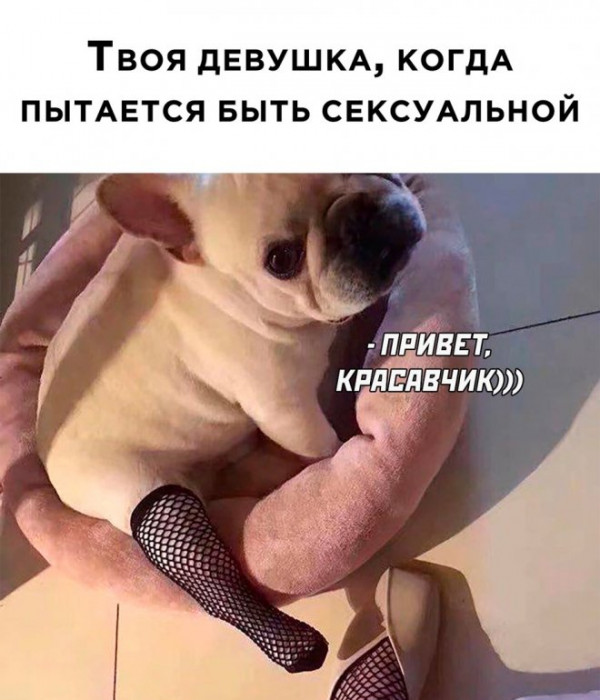 Немного картинок."Колбасный ветер". Август