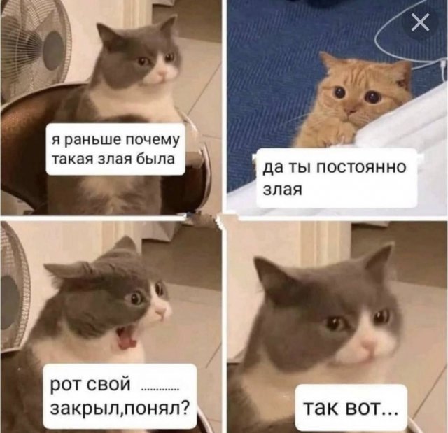 Картинки и мемы для настроения - 123