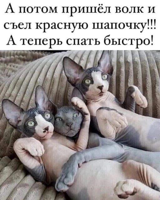 Картинки хз