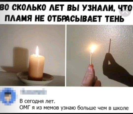 Забавные комментарии из социальных сетей 06.11.23