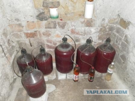 Англичанин + тяпка + огород = факен щит ебис все хорс⁠⁠