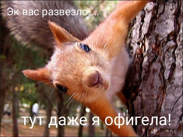 Картинки из интернетов