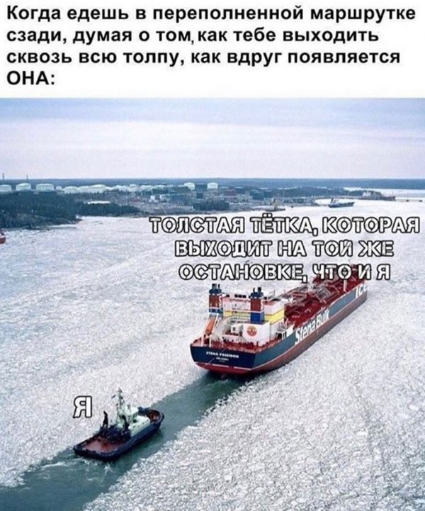 35 картинок от соседа Петросяна