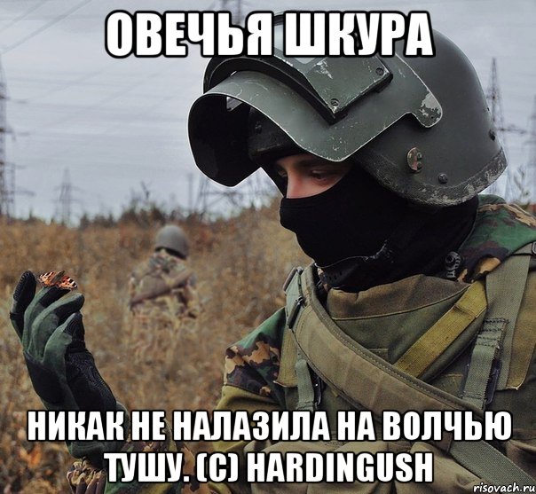 Цитаты Хардингуша