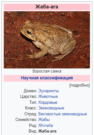 Ага дэ Армас