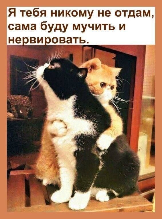 Выбрал раба