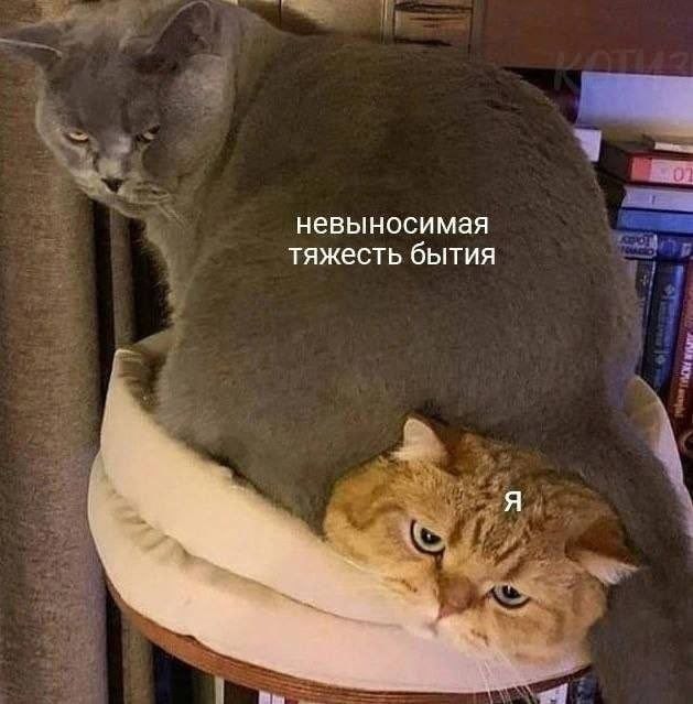 Среды картинки