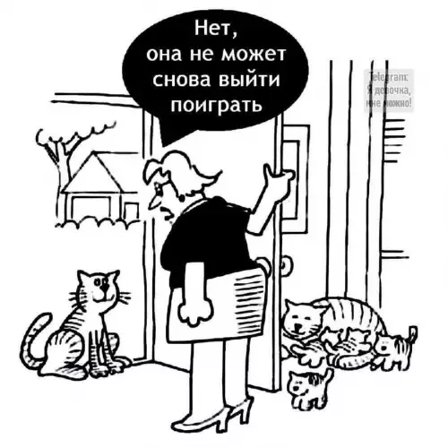 Картиночки, баянчики 25 февраля