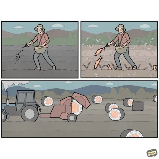 Картинки на среду