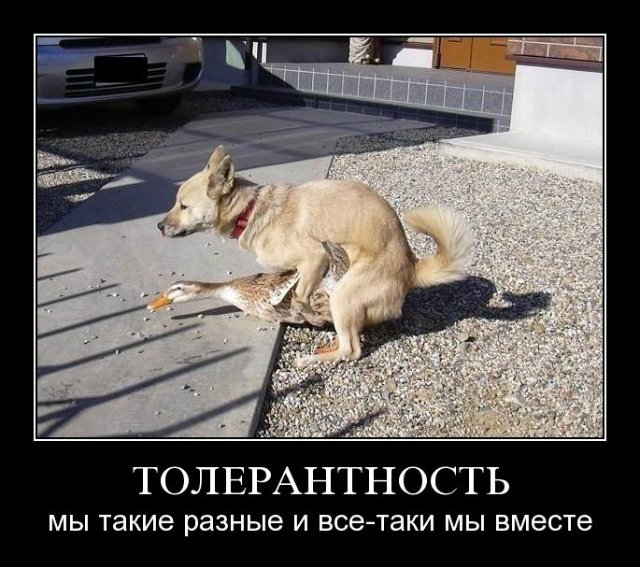 Пассажиры избили мигранта в московском метро