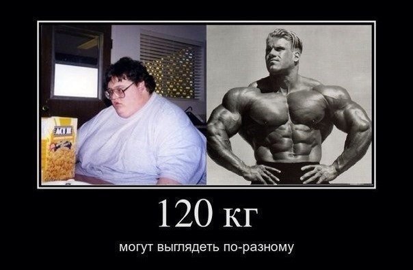 Смешные картинки