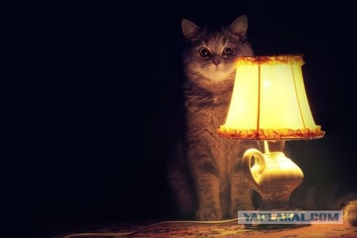 Как переспать с Скарлетт Йоханссон