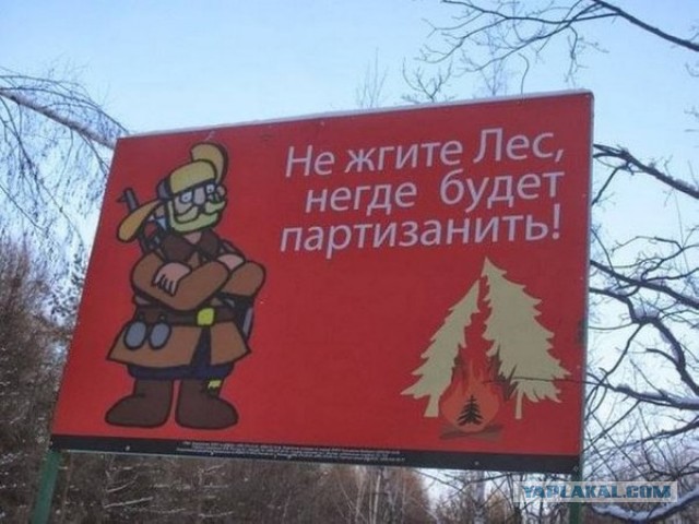 А картинки?