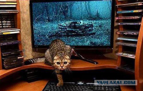 Плюшкиным посвящается