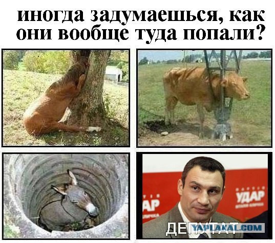 Человечище!