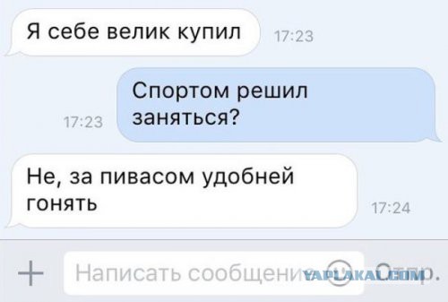 Приколы из сети