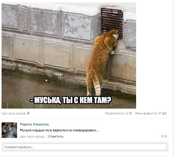 Ужасы и приколы из соцсетей 18+