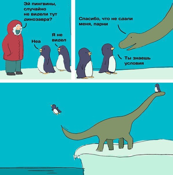 Ужасы и приколы из соцсетей