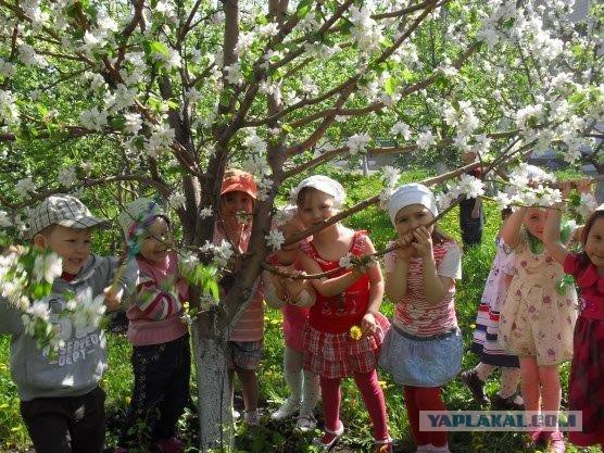 Сельскохозяйственный эксперимент ч. 7