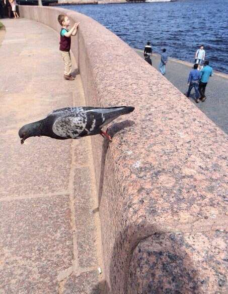 Вроде как показалось ...