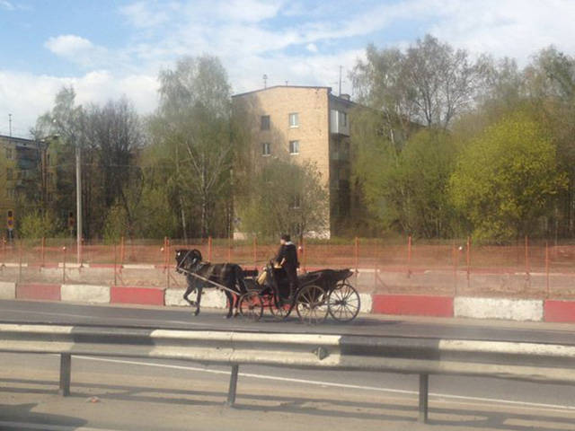 Такое можно встретить только в России