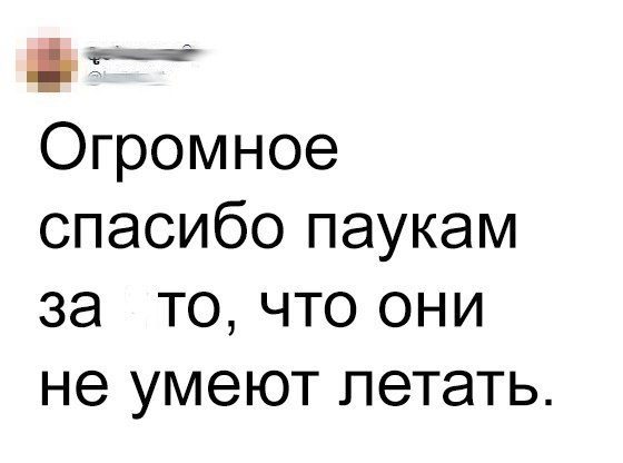 Опять соцсети...