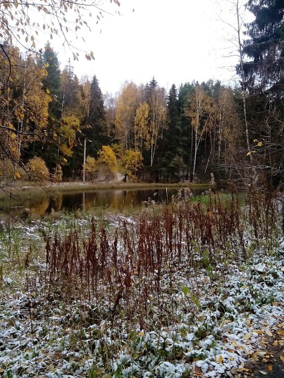 Просто Природа