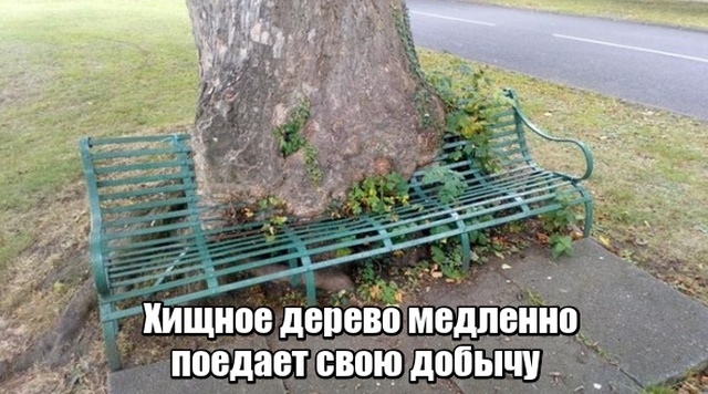 Немного картинок в этот четверг