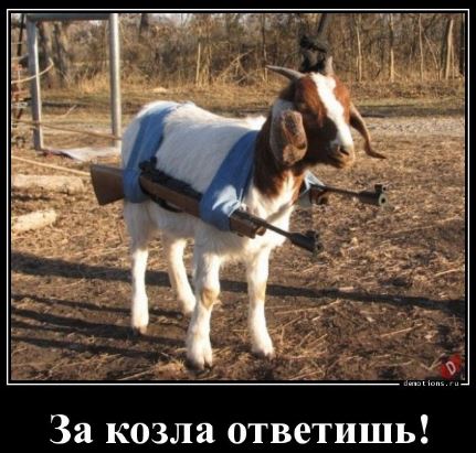 Я думал, в этом видео за горными козлами следить надо...