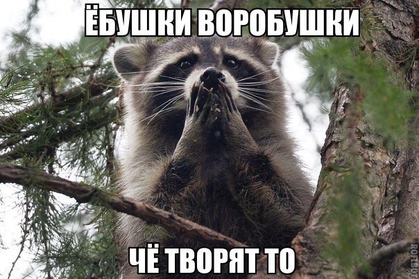 Мединский пригрозил переносом премьер зарубежных фильмов в новогодние каникулы
