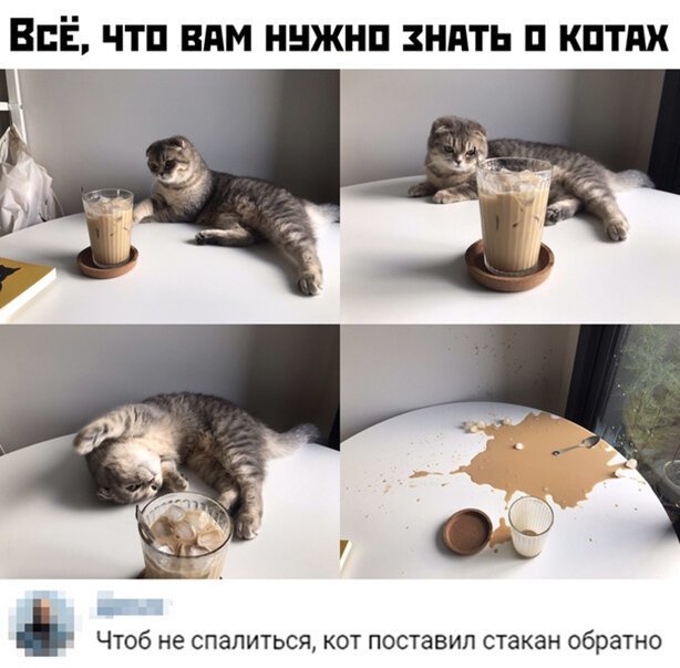 Немного картинок для настроения 19.02.20
