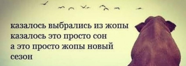 Картинки разнообразные. На злобу дня и на доброту (20.07)