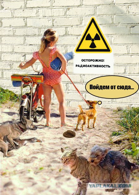 Девочка на пляже