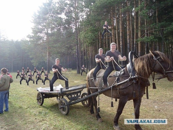 Фотожаба: если б я имел коня...