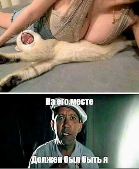 Картинки и мемы для настроения