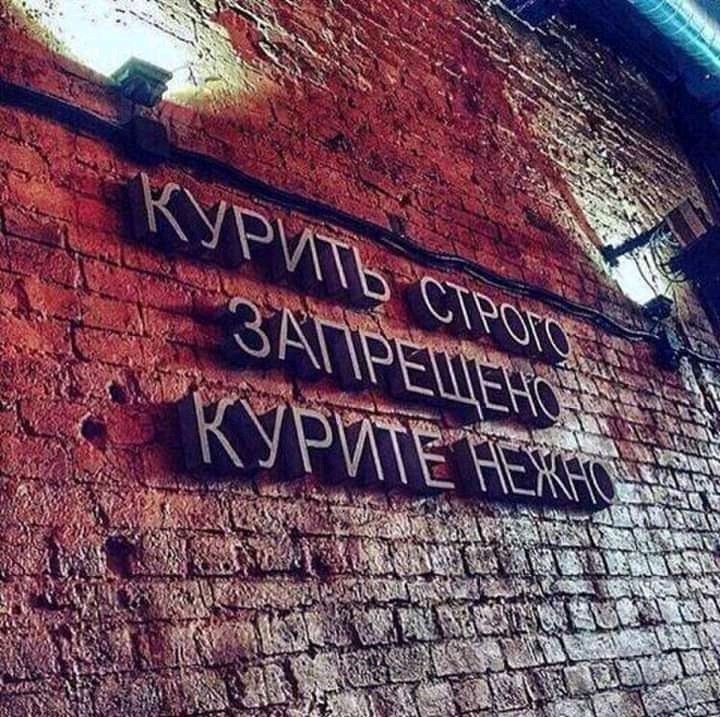 15503100.jpg