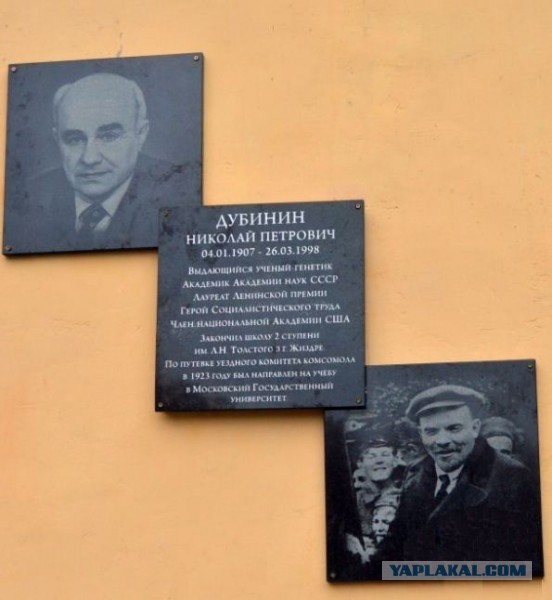 На юге Москвы годовалый малыш выпал из окна 14-го этажа, пока родители отходили от вечернего застолья