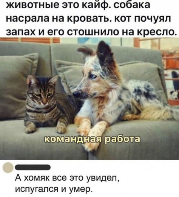 Прикольные и просто красивые картинки 22.06.2021