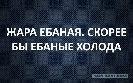 Сострадание