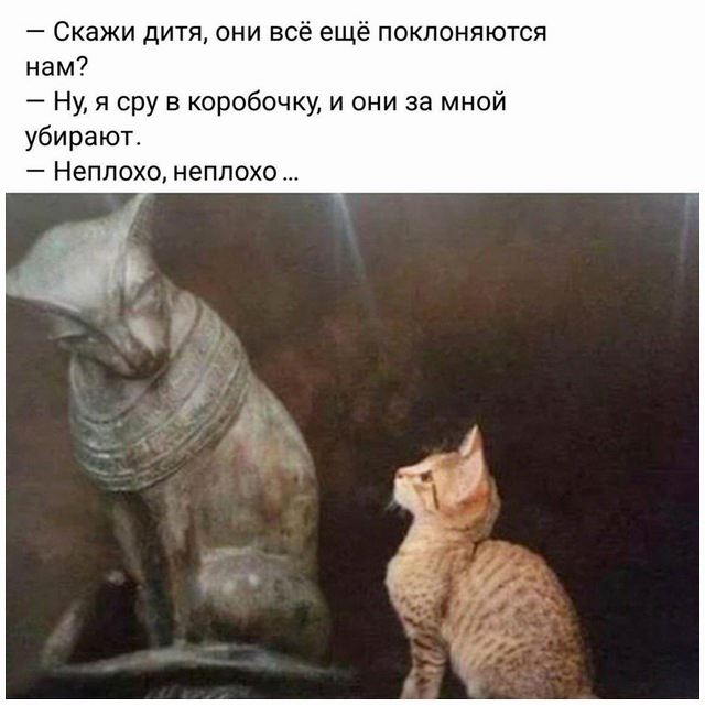 Картинки на разную тематику