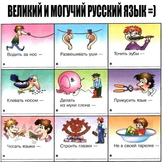 Чуток картинок 12.01.2022