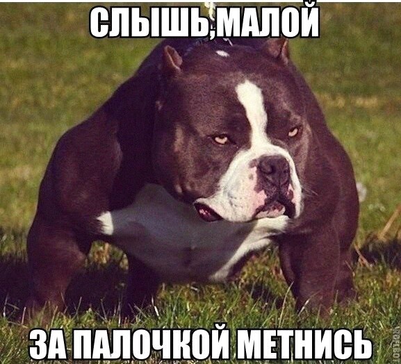 Так себе картинки 20.02.22