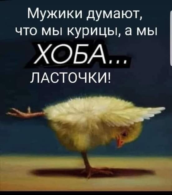 «Чё вам, бабам, надо?» Баба ответила...