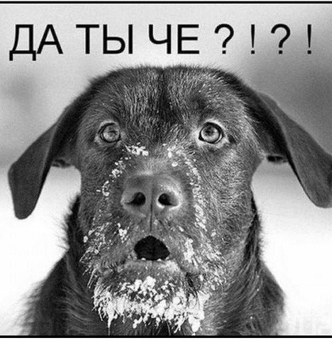 Тает на глазах. По всему миру исчезают ледники. Чем это грозит человечеству?