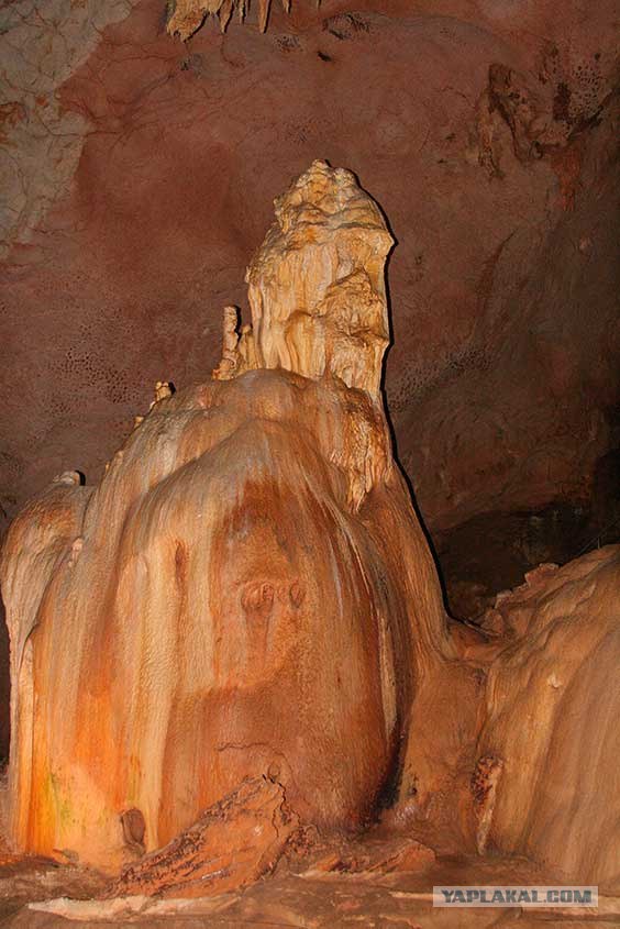 Южный берег Крыма