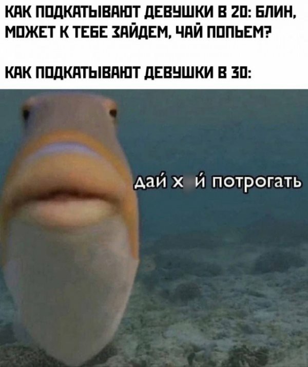 Не бейте баяниста - играет, как может