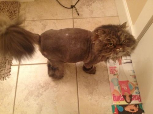 Под полубокс пожалуйста