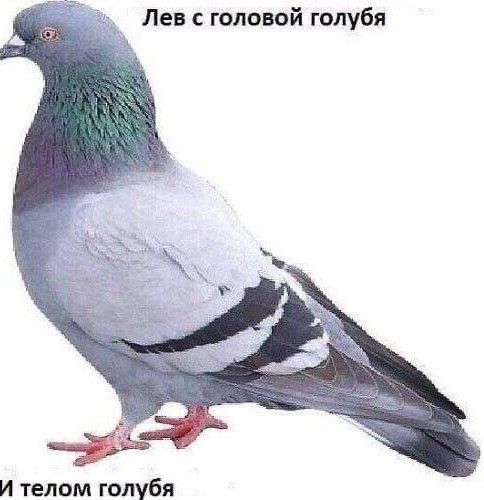 Всего понемногу. От 26.07.23