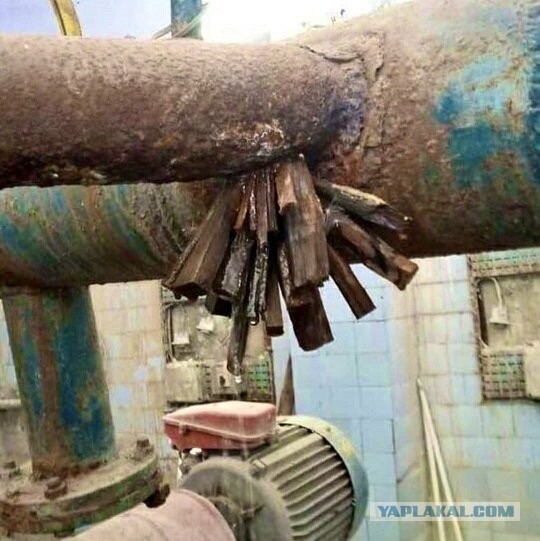 Саратовкие чопики