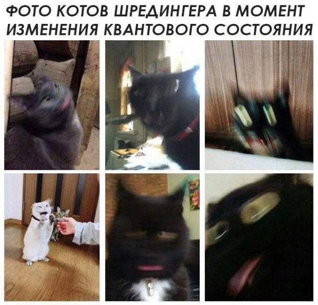 Картинки неразобранные ч.3